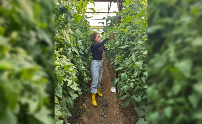 Ürünlerde Kalıntı Eylem Planı Kapsamında Çalışmalar Devam Ediyor