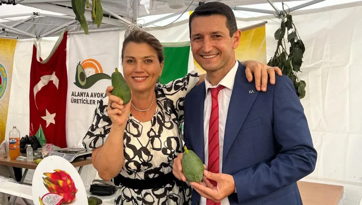 Alanya’da Başkan Sevilgen ithal avokado iddialarını yalanladı