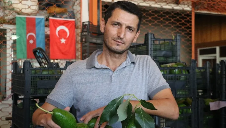 Hilmi Sevilgen isyan etti! “ALGI OPERASYONU YAPMAYIN”