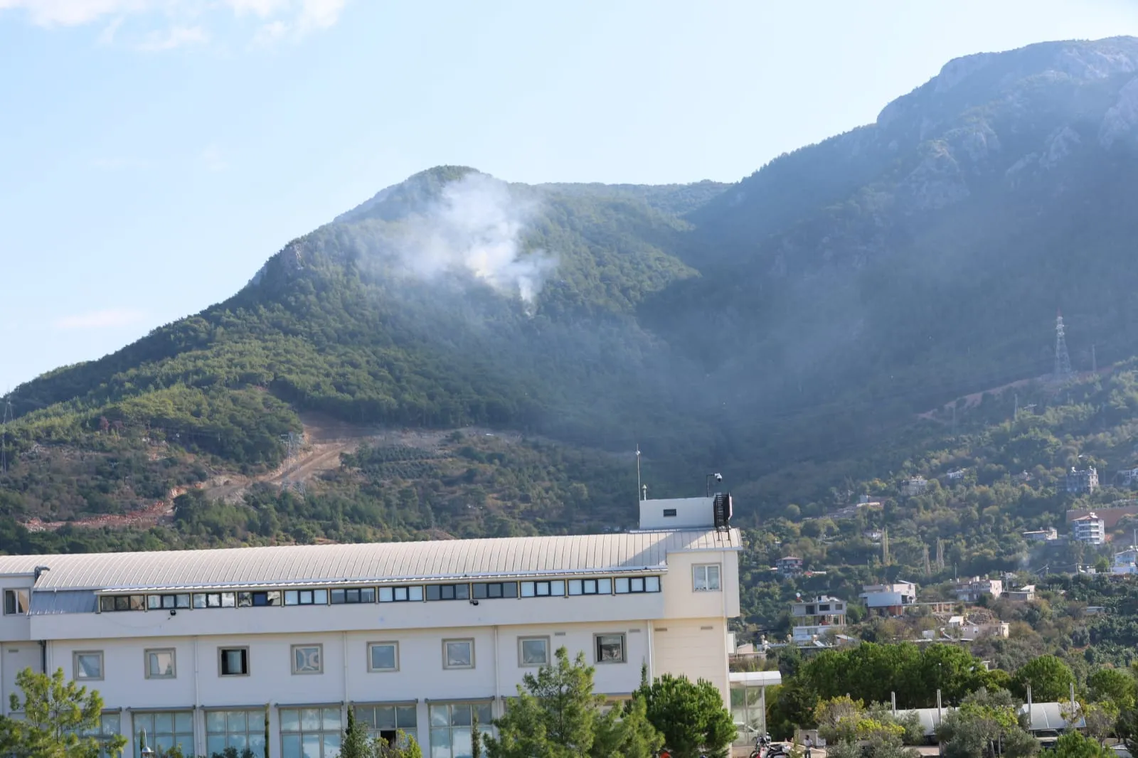 Alanya'da orman yangını: Ekipler bölgeye sevk edildi
