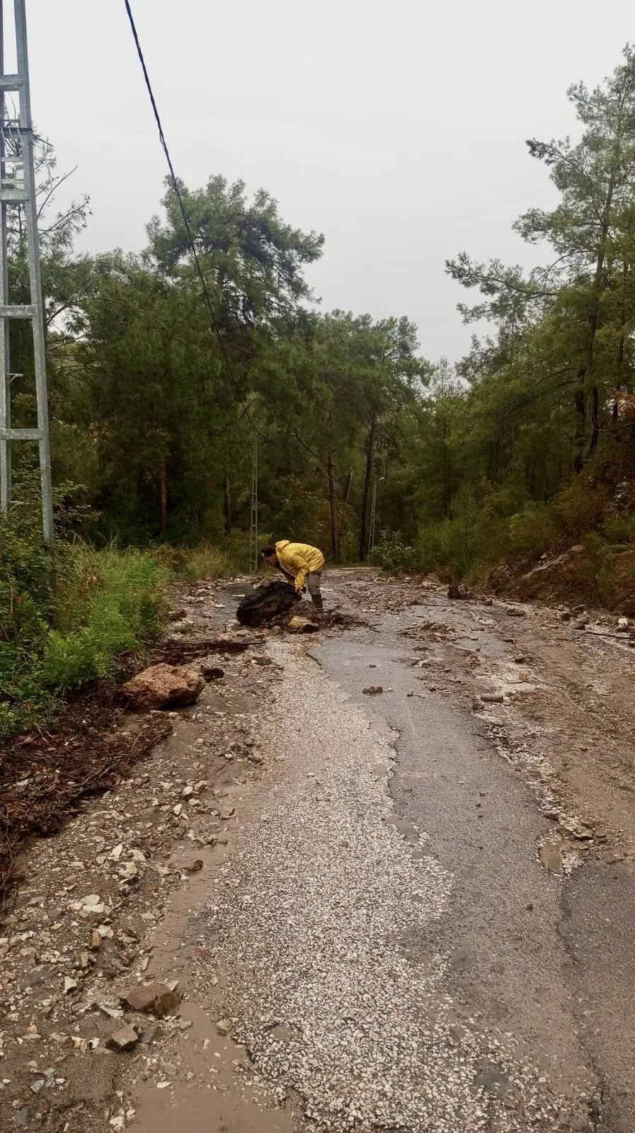 BELEDİYE EKİPLERİ SAHADA