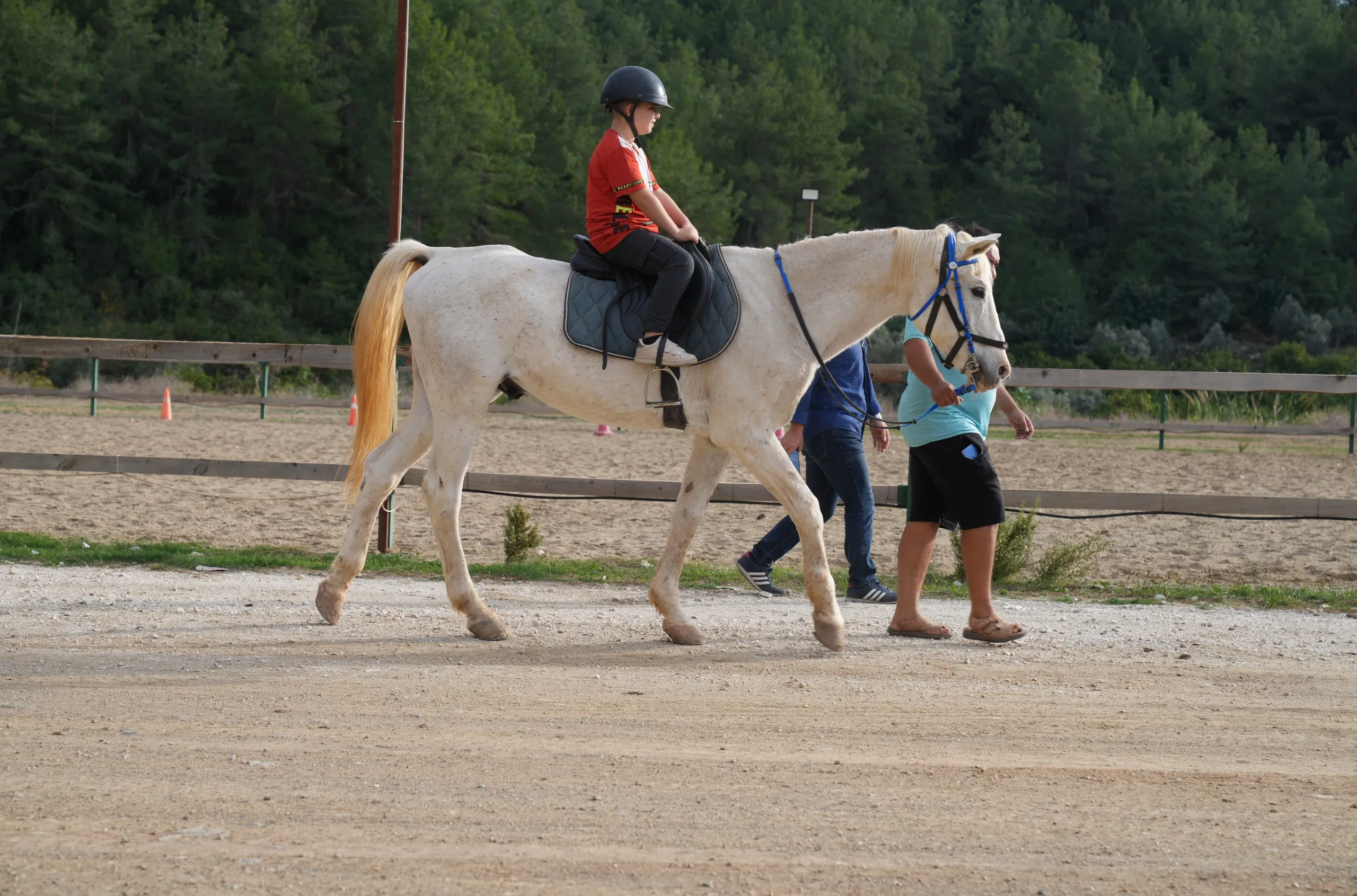 ENGELLİ BİREYLERE BİNİCİLİK EĞİTİMİYLE REHABİLİTASYON DESTEĞİ