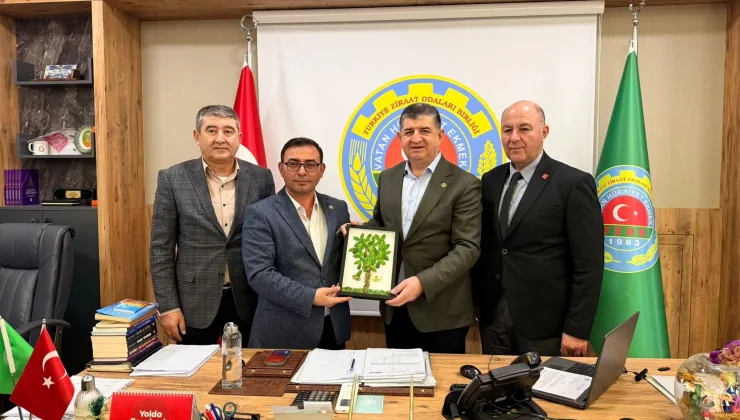 Alanya’da tarımsal sulamada bakalit boru krizi