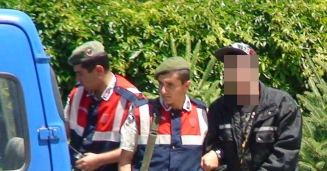 Kaçak ağaç kesimine jandarmadan suçüstü
