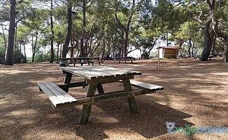 Alanya'da yasak olmayan piknik yerleri