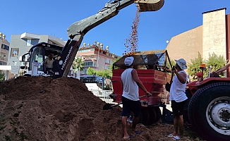 Alanya’da top sahalarına özel kış bakımı