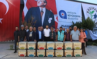 Büyükşehir’den Gazipaşalı arıcılara kovan desteği