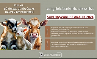 İlçe Tarım'dan Hayvan üreticilerine destekleme bilgisi