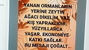 Cengiz Aydoğan'dan Öneri : Yanan ormanların yerine zeytin ağacı dikelim